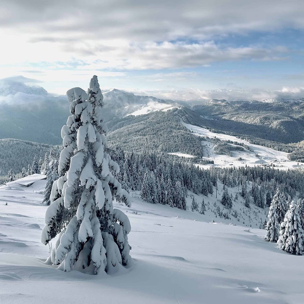 Winter am Dürrnbachhorn - Skitour am Morgen © Hannes Heigenhauser